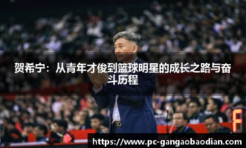贺希宁：从青年才俊到篮球明星的成长之路与奋斗历程