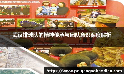 武汉排球队的精神传承与团队意识深度解析