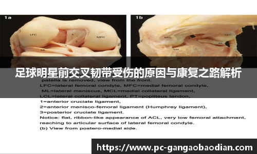 足球明星前交叉韧带受伤的原因与康复之路解析